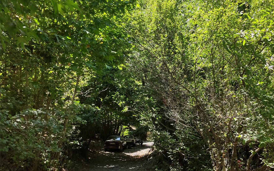 مسیر ورودی جنگل سربرج