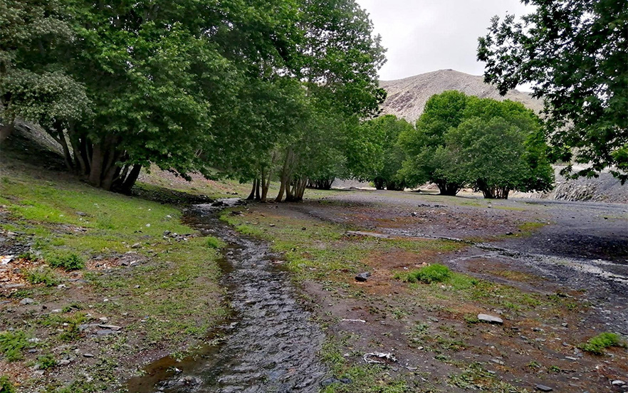 رودخانه سربرج در دل جنگل