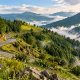 Four Seasons Mountain Valley Panorama