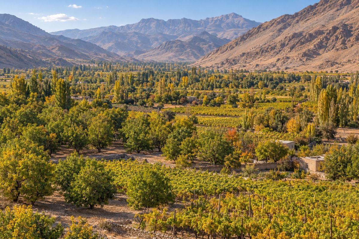 چشمانداز باغها و کوهستان بوانات فارس