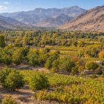 چشم‌انداز باغ‌ها و کوهستان بوانات فارس